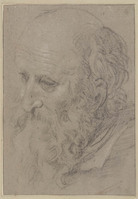 C 053
<br/>
Baardige manskop, driekwart naar links
<br/>
<em>Domenichino (1581-1641)</em>